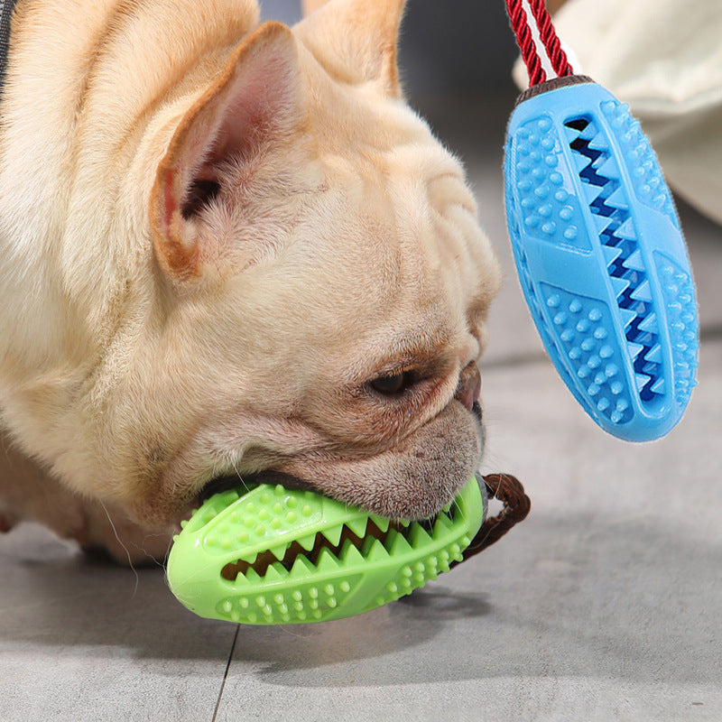 Dog Chewing Toothbrush Toy