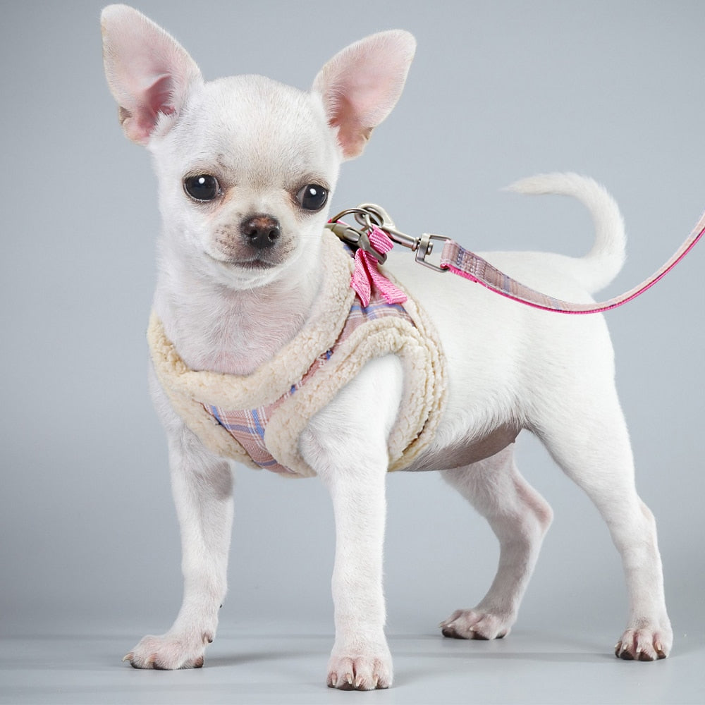 Cute Pet Cat Harness Vest Soft Padded Chihuahua Puppy Cat Harness Collar Adjustable Walking Leash For Small Medium Dogs Cats