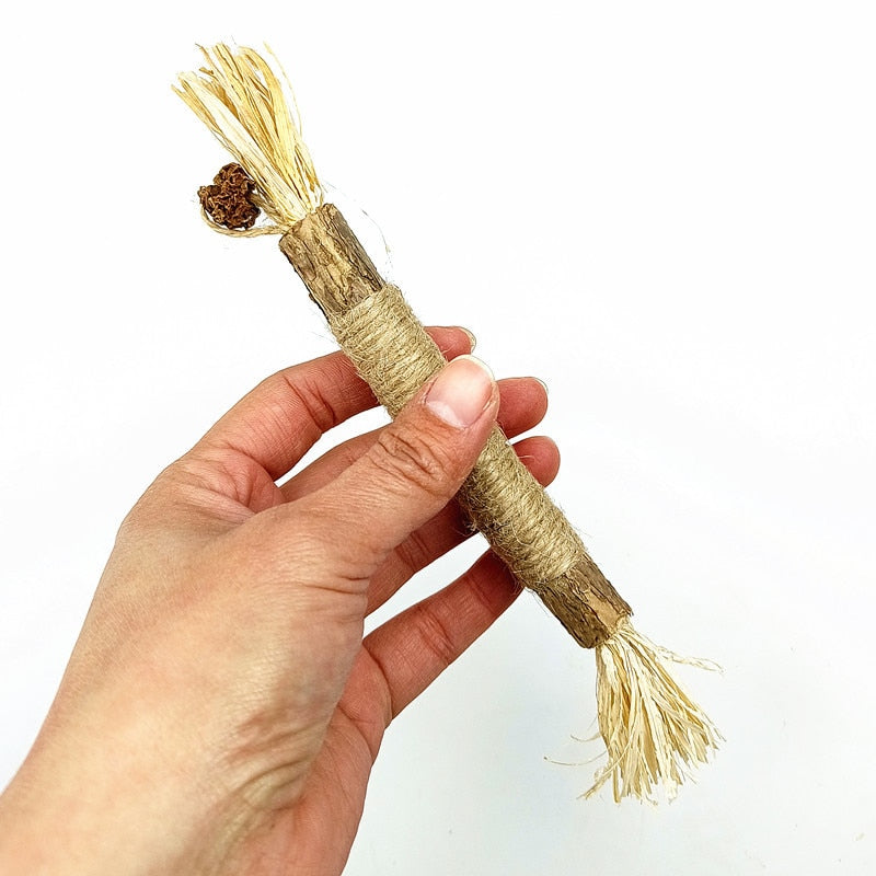 Pet Cat Wooden Polygonum Stick Lafite Grass Cat Toy Molar Stick Catnip Cat Tooth Cleaning Silvervin Stick Cane Pet Supplies Toys