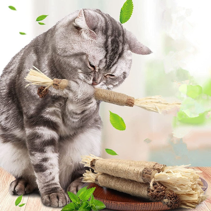 Pet Cat Wooden Polygonum Stick Lafite Grass Cat Toy Molar Stick Catnip Cat Tooth Cleaning Silvervin Stick Cane Pet Supplies Toys