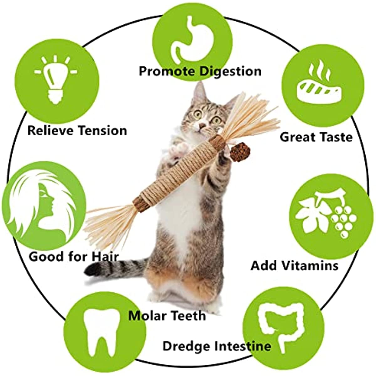 Pet Cat Wooden Polygonum Stick Lafite Grass Cat Toy Molar Stick Catnip Cat Tooth Cleaning Silvervin Stick Cane Pet Supplies Toys