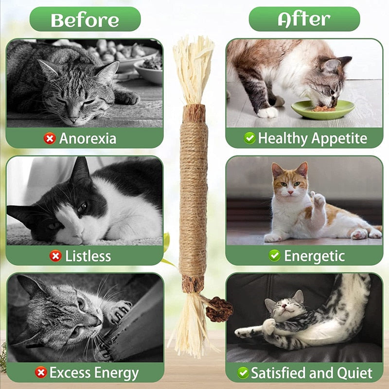 Pet Cat Wooden Polygonum Stick Lafite Grass Cat Toy Molar Stick Catnip Cat Tooth Cleaning Silvervin Stick Cane Pet Supplies Toys